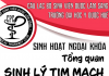 Tổng quan sinh lý tim mạch